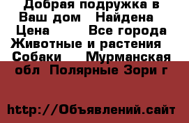 Добрая подружка,в Ваш дом!!!Найдена › Цена ­ 10 - Все города Животные и растения » Собаки   . Мурманская обл.,Полярные Зори г.